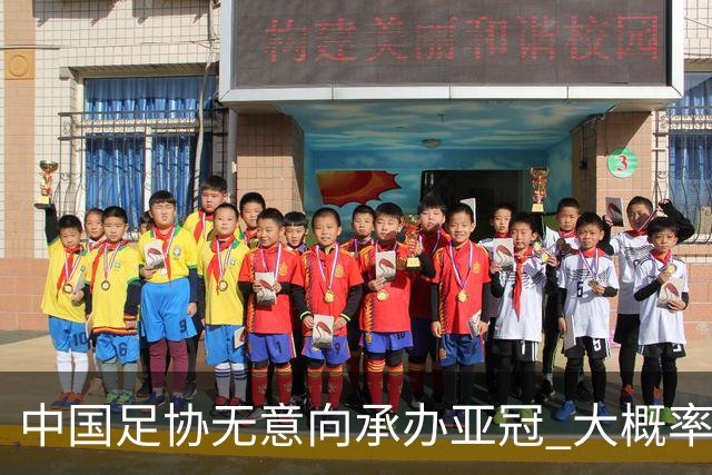 中国足协无意向承办亚冠 大概率继续在卡塔尔踢
